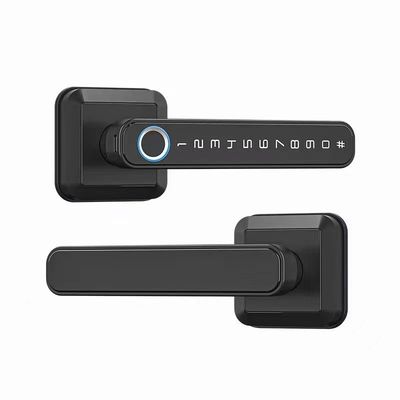 WLAN-verbundene Bluetooth-Eingangssperre Griffe für modernes Einfachheits-Style-Türschloss