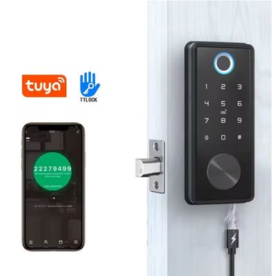 Zinklegierung Schwarzblau Zahn Smart Lock für WIFI-Netzwerk Tuya APP Speicherkarte