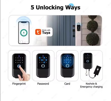 Home Hotel Office WiFi verbunden Smart Lock Tuya Netzwerk Elektronische Passwortbox Metall Tor Glas IP65 wasserdicht