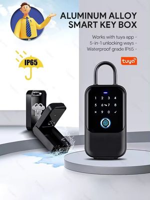 Home Hotel Office WiFi verbunden Smart Lock Tuya Netzwerk Elektronische Passwortbox Metall Tor Glas IP65 wasserdicht