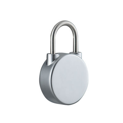 Smart Lock Elektromagnetisches Schloss für eine hohe Sicherheit der Türen zu Hause/im Büro/in der Schule