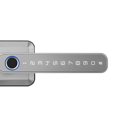 Holztür Fingerabdruck Passwort Smart Lock Schnell entsperren Digitaler Code WiFi-Konnektivität