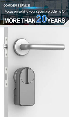 Zimmer Tür Digital Keypad Ttlock Smart Home Handgriff Tür Schloss Langlebige Akkulaufzeit