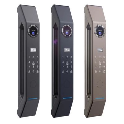 100 Kapazität Smart Metal Door Lock mit Schlüssel und Fingerabdruck/Passwort/Karte