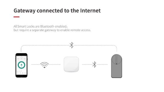 Einführung des Grey Wifi Smart Gate Lock für die Speicherkarte von Tuya Wooden Doors