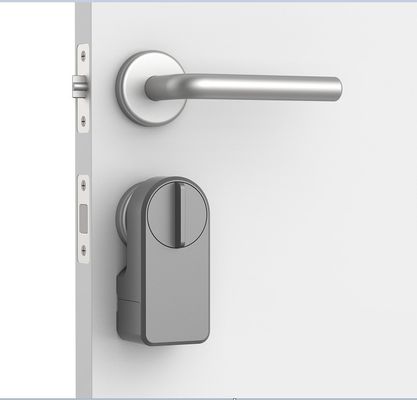 Zinklegierung Tuya App Wifi Wireless Passwort Smart Blue Tooth Türschloss für 95% Türen