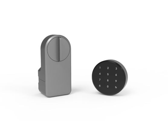 Zinklegierung Tuya App Wifi Wireless Passwort Smart Blue Tooth Türschloss für 95% Türen
