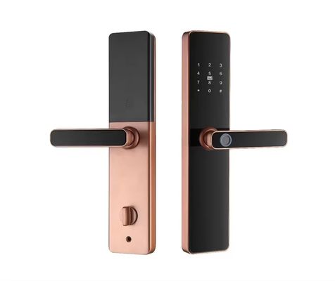 Tuya Elektronische Smart Door Lock mit Cloud-Datenspeicheroption