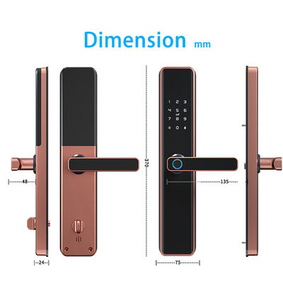Tuya Elektronische Smart Door Lock mit Cloud-Datenspeicheroption