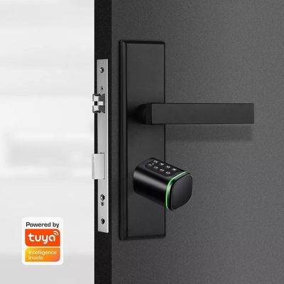 Öffnen Sie Ihre Holztür bequem mit Silber Smart Cylinder Lock Passwort freigeschaltet