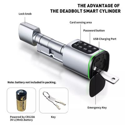 Öffnen Sie Ihre Holztür bequem mit Silber Smart Cylinder Lock Passwort freigeschaltet