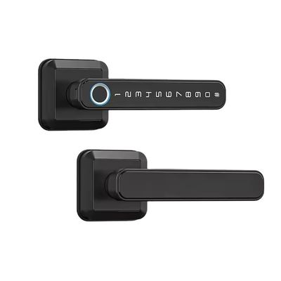 Speicherung von Daten auf Speicherkarten Smart Lock für Holztür Wasserdicht IP66 Fingerabdruck WLAN