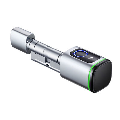 Verbessern Sie die Sicherheit Ihrer Stahltür mit dem beliebten Smart Life Smart Cylinder Lock