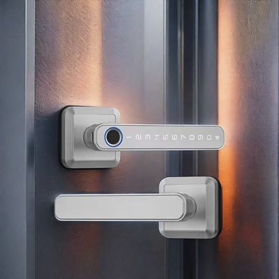 Zinklegiertes Material Wifi-fähiges Fingerabdruckschloss Türschloss Wasserdicht IP66 für Holztür