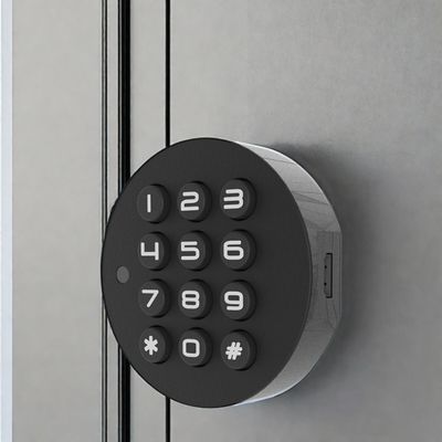 Blue Tooth Network Mini Fingerabdruck Wohnzimmer Schränke für Holztüren Direktversorgung