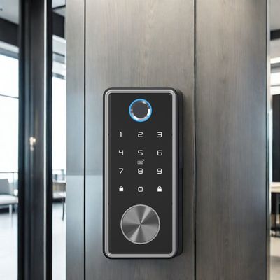 Stahltür Wasserdichtes Wifi Digital Front Schlüsselloses Smart Deadbolt Schloss mit Tuya App