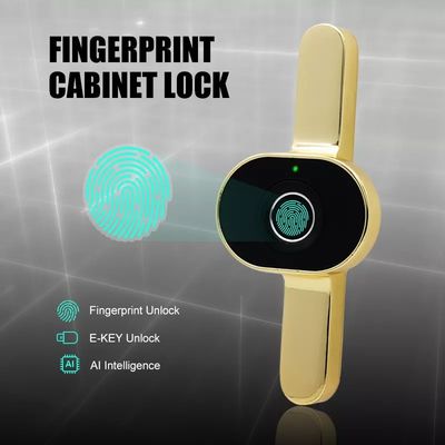 Datenspeicheroptionen Speicherkarte Mini-Schublade Smart Electric Lock Für Büroschrank