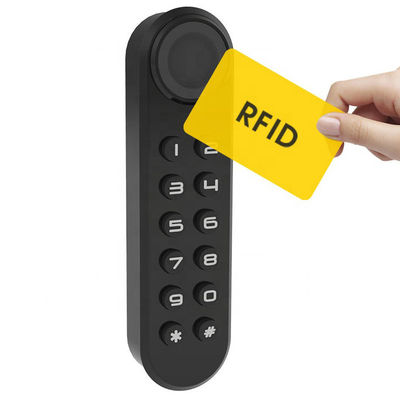 Sichern Sie mühelos Ihr Wohnzimmer mit unserem benutzerdefinierten elektrischen digitalen RFID-Schloss