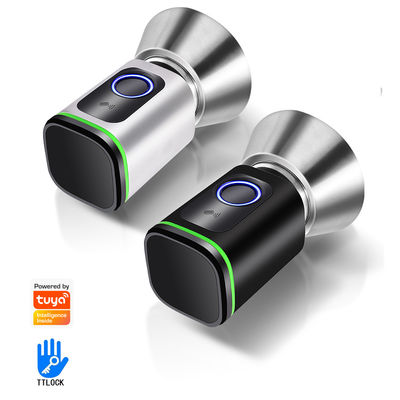 Sichern Sie Ihr Zuhause mit TUYA WiFi BLE Smart Bedroom Door Lock Cylinder und Memory Card