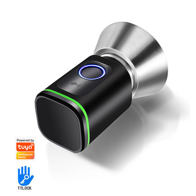 Sichern Sie Ihr Zuhause mit TUYA WiFi BLE Smart Bedroom Door Lock Cylinder und Memory Card