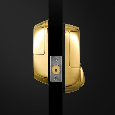 Holztür Hochsicherheit Goldfarbe Wasserdicht Schiebe-Smart Fingerabdruck Türverschluss 42,1 * 35,6 * 51,5 cm