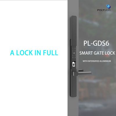 Black Digital Cerraduras Electronica Smart Technology Sicherheitsschlüsselverschluss mit WLAN