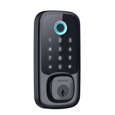 Polymath Schlösser Fingerabdruck Code Tastatur Tür Smart Lock Für Hotel Anpassungsmöglichkeiten