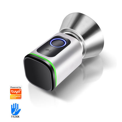 Einfache Diy Installation Smart System Tuya APP Türschloss Schlüssellose verbundene BLE Fingerabdruckkarte