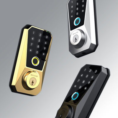 Anpassbares Zinklegierung Smart Lock Konkurrenzfähig für Wifi-fähiges Fingerabdruck-Türschloss