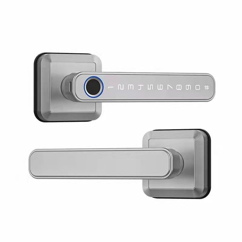 Typ-C Stromversorgung WiFi Bluetooth Smart Home Lock mit Fingerabdruck Schlüssellose Sicherheit