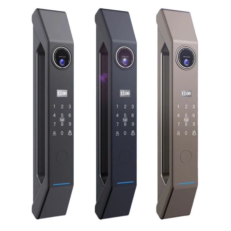 100 Kapazität Smart Metal Door Lock mit Schlüssel und Fingerabdruck/Passwort/Karte