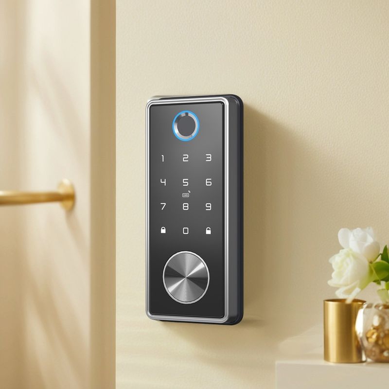 Speicherung von Daten auf Speicherkarten Vier-in-Eins Tuya Türschloss Smart Elektronischer Fingerabdruck Code